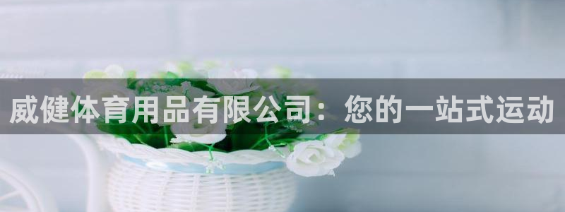 欧陆娱乐计划预测软件有哪些：威健体育用品有限公司：您