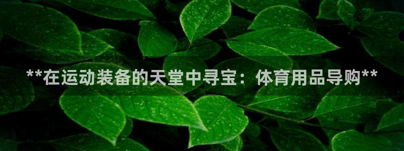 欧陆娱乐登陆官网网址：**在运动装备的天堂中寻宝：体