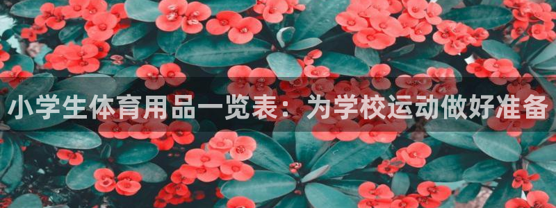 欧陆娱乐平台官网：小学生体育用品一览表：为学校运动做