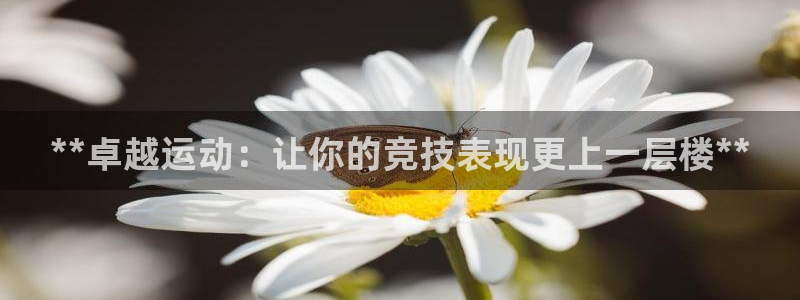 欧陆官网下载：**卓越运动：让你的竞技表现更上一层楼