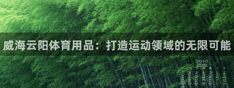 欧陆软件官网：威海云阳体育用品：打造运动领域的无限可