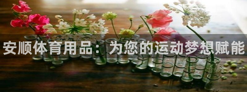 欧陆娱乐能赚钱吗:安顺体育用品:为您的运动梦想赋能