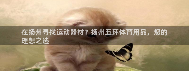 欧陆娱乐注册链接安全吗知乎:在扬州寻找运动器材?扬州五环体育