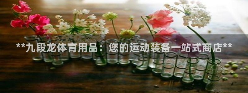 欧陆娱乐百科百度:**九段龙体育用品:您的运动装备一站式商店
