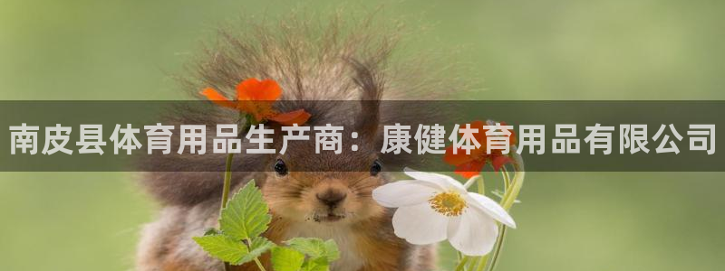 欧陆娱乐平台登陆地址是什么样的:南皮县体育用品生产商:康健体